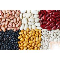 12 LOẠI HẠT MẸ ĂN CON THÔNG MINH (phần 3)