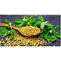 4 Mẹo Tăng Cường Trí Nhớ Cho Trẻ Mà Bố Mẹ Không Thể Bỏ Qua