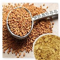 Ăn gì đốt cháy “chất béo” trong cơ thể