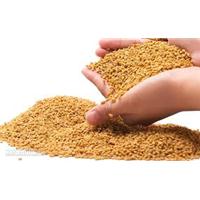 Ăn uống khoa học kết hợp với tập luyện Yooga