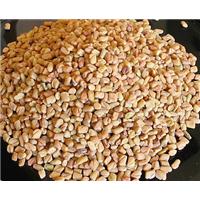 Bạn đã biết cách “đánh bay” viêm xoang bằng hạt methi