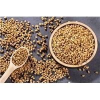 Bật Mí 5 Thức Uống Lợi Sữa Giúp Mẹ Bầu Sau Sinh Sữa Ra Ướt Áo