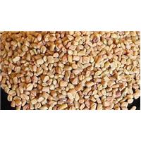 Bật mí lý do nên chọn thảo dược Methi Ấn Độ