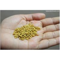 Các Món Ăn Giúp Mẹ Bầu Lợi Sữa