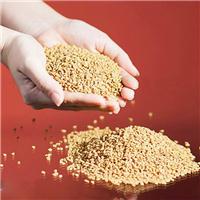 Cách dùng hạt methi cải thiện tình trạng tiểu đường