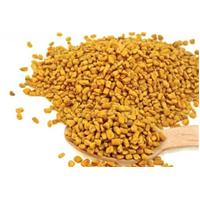 Cách sử dụng hạt methi hiệu quả