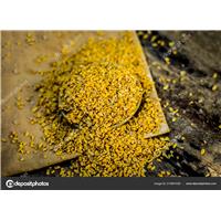 Cách tăng cường hệ miễn dịch vào mùa đông