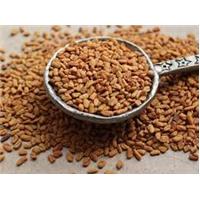 Cải Thiện Trí Nhớ Ở Người Già Bằng Những Thói Quen Cơ Bản