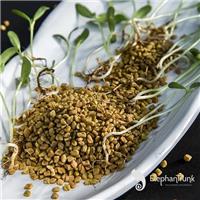 Chia Sẻ Một Số Món Ăn Với Hạt Methi