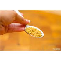 Chú ý liều lượng khi sử dụng hat methi Ấn Độ