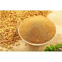 Cở sở phân phối hạt Methi chính hãng ở đâu tốt nhất