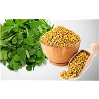 Cuối Năm 2020 Mua Hạt Methi Hà Nội Ở Đâu Tốt?