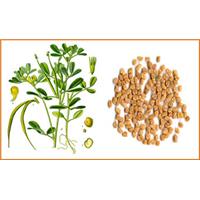 Danh sách 05 thực phẩm người muốn giảm cân nên thử