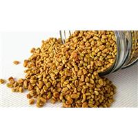 Đầu hè 2021 nên chọn địa chỉ nào mua hạt Methi chính hãng