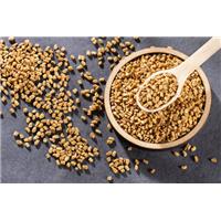 Đầu năm 2021 mua Hạt Methi ở đâu tốt nhất?