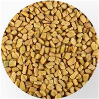 Đây là cách hạt methi giúp bạn tăng kích thước vòng ngực!