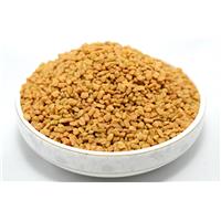 Đi Tìm Công Ty Bán Hạt Methi Tốt