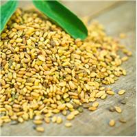 Điểm Danh Top Những Thực Phẩm Cải Thiện Trí Nhớ