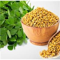 Dùng Hạt Methi Có Giảm Cân Không?