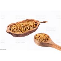 Dùng Hạt Methi Có Giúp Lợi Sữa Không?