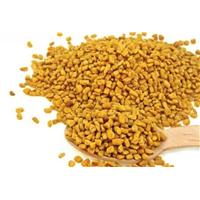 Hạt methi – 1 trong 7 cách đơn giản để kiểm soát bệnh tiểu đường