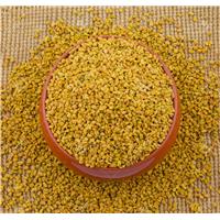 Hạt Methi Ấn Độ Dùng Làm Trà Có Tốt Cho Sức Khỏe Không?