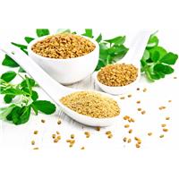 Hạt Methi ấn độ giúp giảm cân – thật hay đùa?