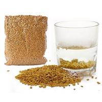 Hạt methi Ấn Độ và biến chứng suy thận