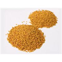 Hạt methi: Bạn đã biết 5 cách giảm đau khớp này chưa?