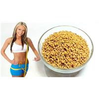 Hạt Methi - Bí Quyết Giảm Cân An Toàn