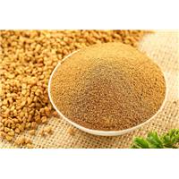 Hạt Methi Chế Biến Món Ăn Thơm Ngon, Hấp Dẫn