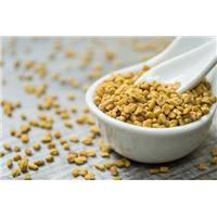 Hạt methi – Lựa chọn “vàng” cho người mắc tiểu đường