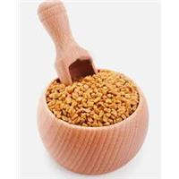 Hạt methi – Những Công Dụng Bất Ngờ Có Thể Bạn Chưa Biết