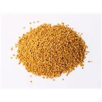 Hạt Methi - Ổn định đường huyết, giảm cholesterol hiệu quả