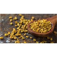 Hạt Methi - Sản Phẩm Dành Cho Mẹ Bầu Thiếu Sữa Sau Sinh