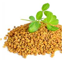 Hạt Methi - Tăng Cường Hỗ Trợ Trí Tuệ Cho Bé