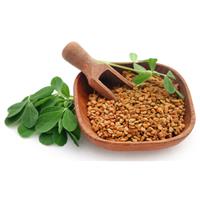 Hạt methi và hạt vải – khắc tinh của bệnh tiểu đường