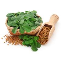 Hạt methi và một số lợi ích sức khỏe