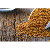 Hướng Dẫn Cách Dùng Hạt Methi