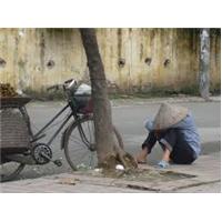 Làm việc nặng nhọc tăng nguy cơ mắc bệnh tiểu đường