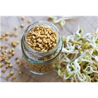 Mẹ Bầu Có Nên Dùng Hạt Methi Hay Không