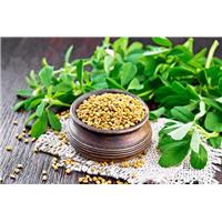 Mẹo giảm cân đơn giản mà hiệu quả nhờ hạt Methi