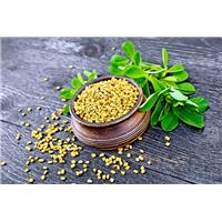 Mẹo nhỏ giúp chữa bệnh trào ngược dạ dày đơn giản mà hiệu quả