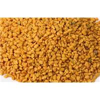 Methi – 1 trong 5 giải pháp tự nhiên giảm thiểu triệu chứng tiền mãn kinh