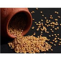 Methi Hà Nội Đến Đâu Mua Tốt Nhất?