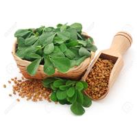 Người mắc tiểu đường tuýp 2 dùng được hạt methi không?