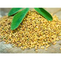 Nguyên Tắc Khi Mua Hạt Methi Ấn Độ