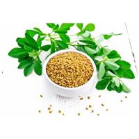 Như thế nào là Hạt Methi chất lượng?