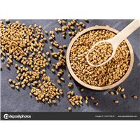 Những Cách Đơn Giản Cải Thiện Trí Nhớ Của Bạn