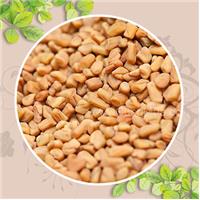 Những điều bạn cần biết về hạt methi Ấn Độ